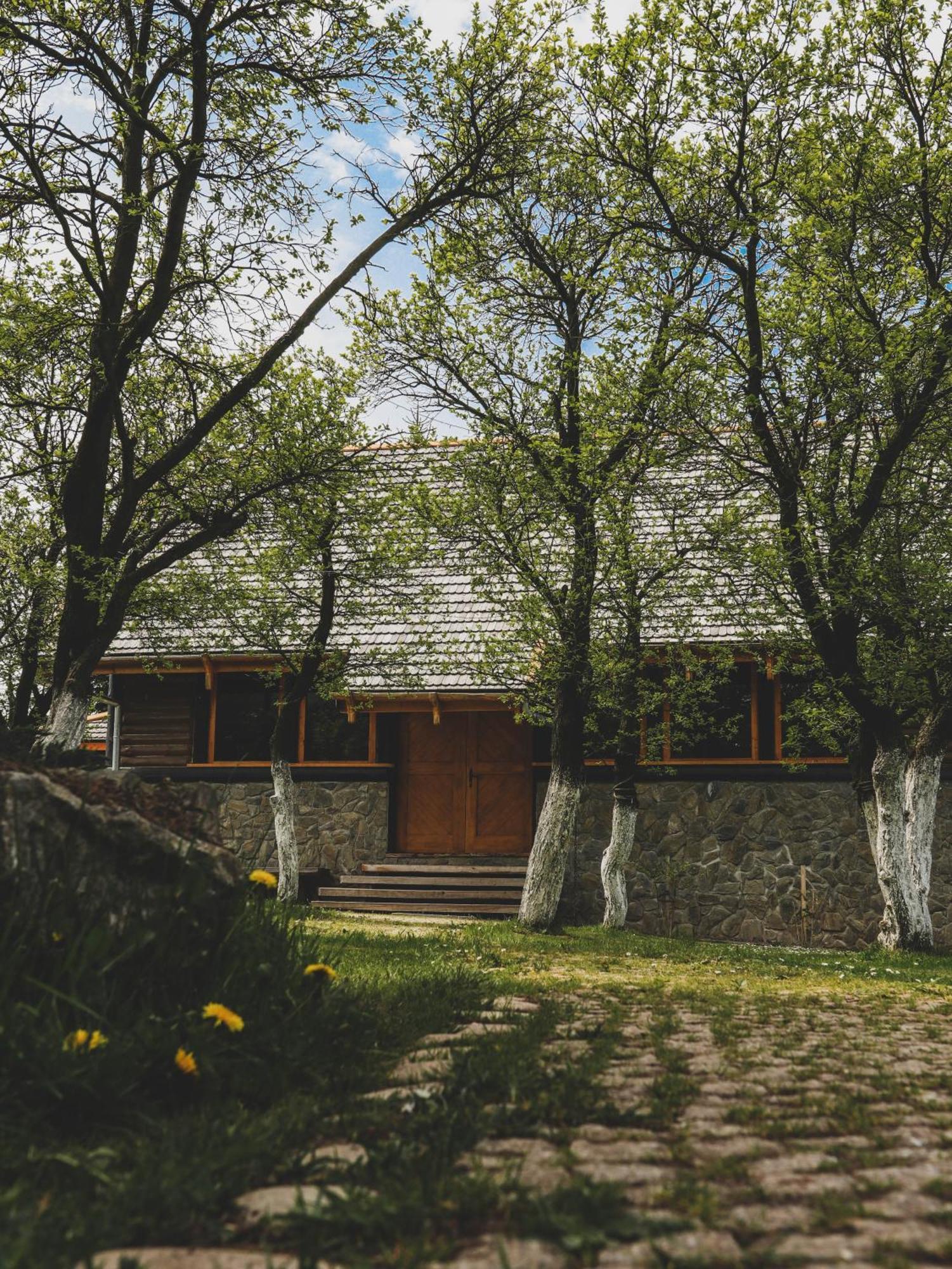 Karkonoska Drewniana Chata Kamienna Gora Luaran gambar